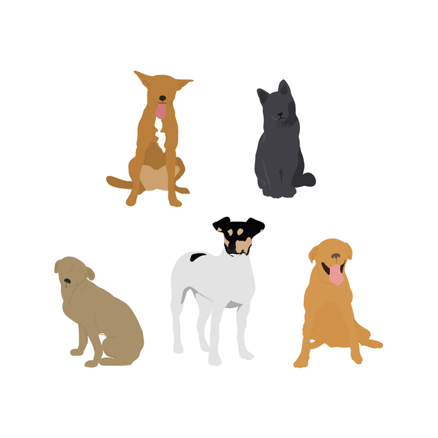 free png dogs cats