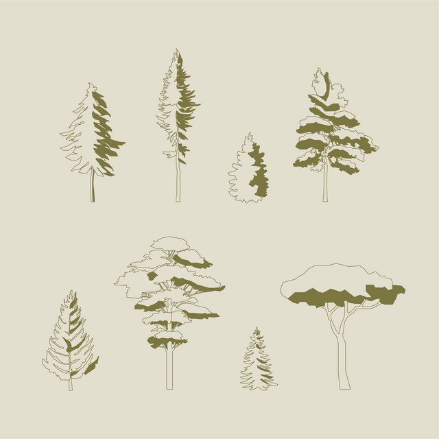 vector pine trees free download