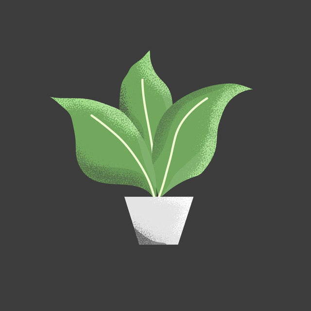 vector plants illustration
