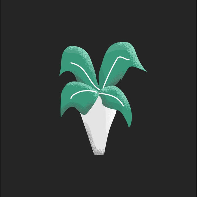 vector plants illustration