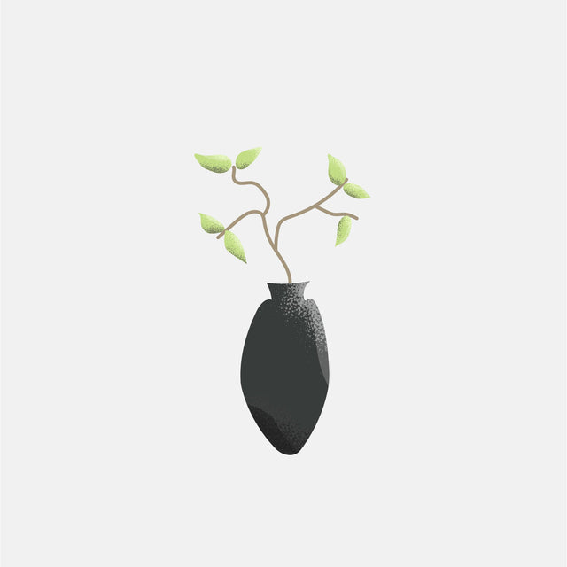 vector plants illustration