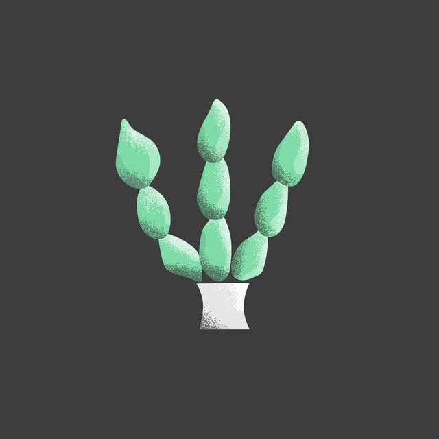 vector plants illustration