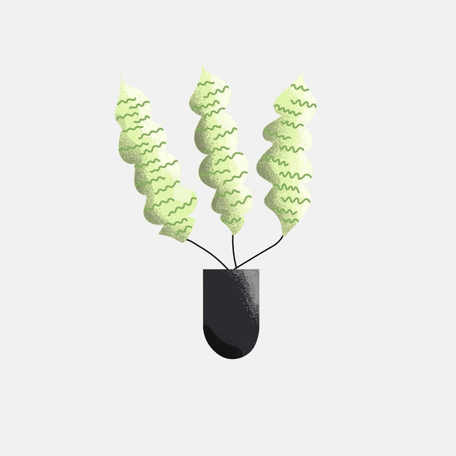 vector plants illustration