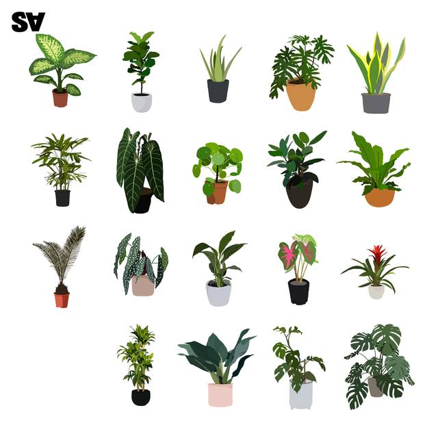 flat vector potted plants