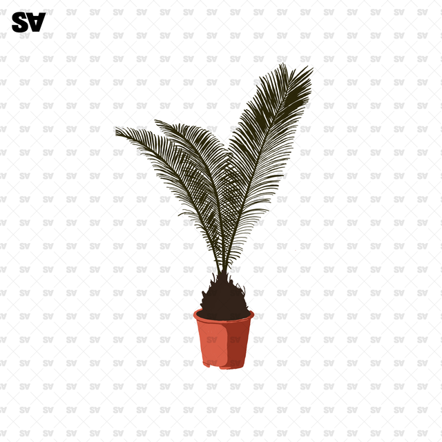 potted plants flat vector