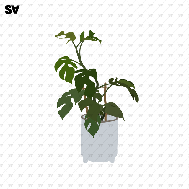 plant vector png