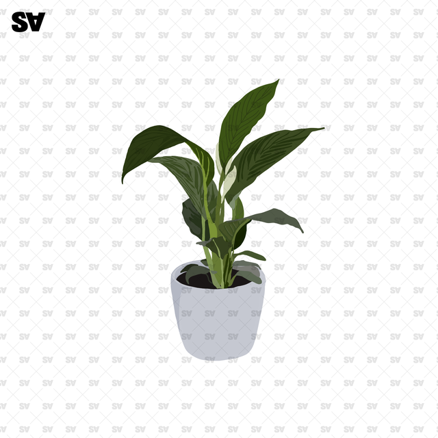flat vector potted plants