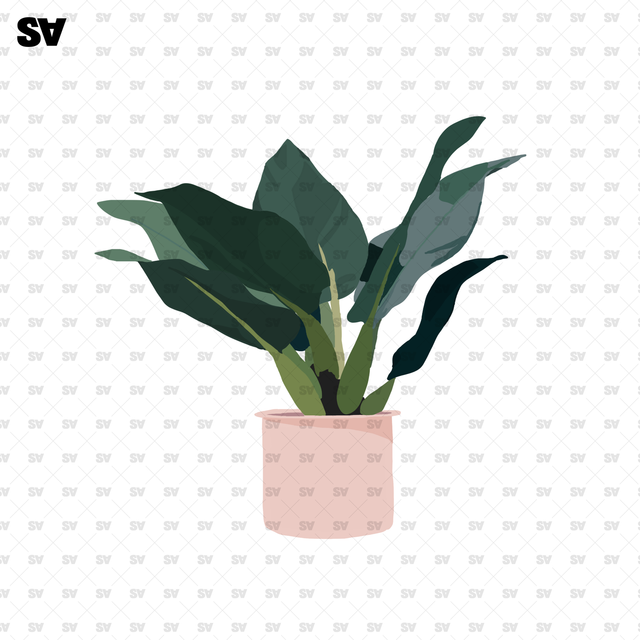 flat vector potted plants