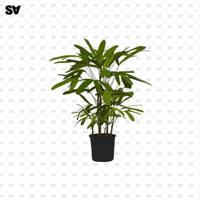 flat vector potted plants