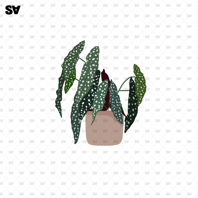 flat vector potted plants