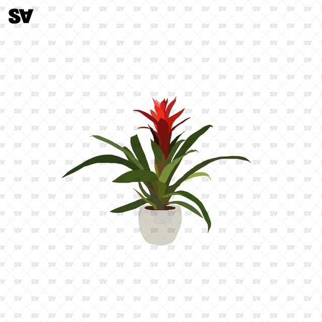 flat vector potted plants