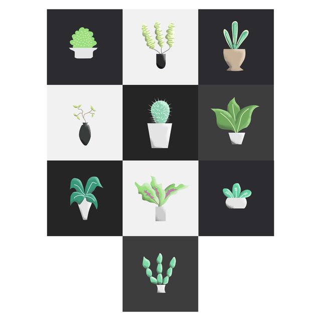 Vector plants illustrations 