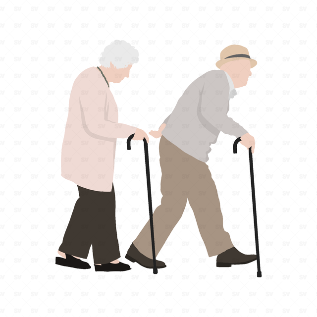 flat vector old couple