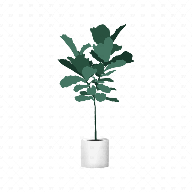 flat vector plants
