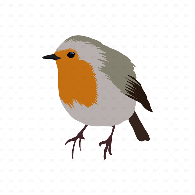 png vector bird