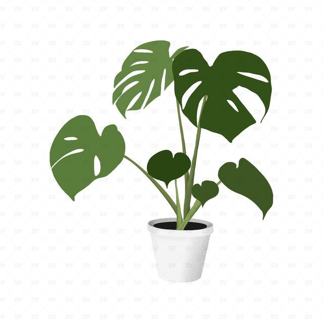 flat vector plants