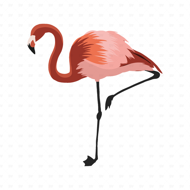 png vector flamingo
