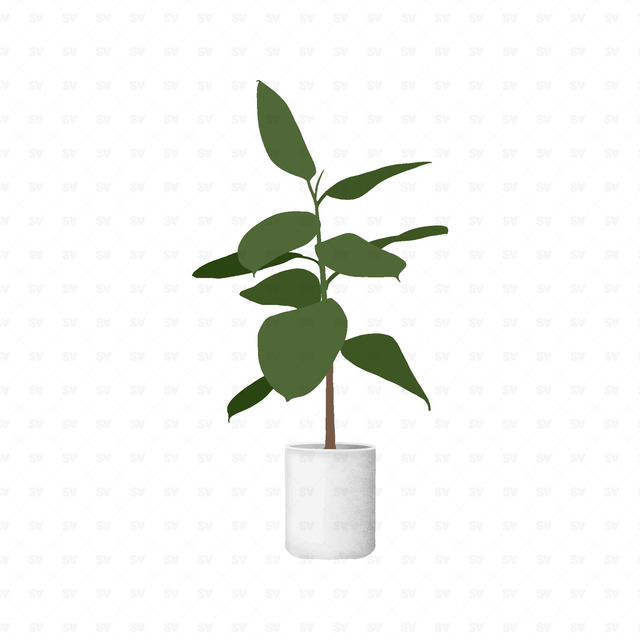 flat vector plants