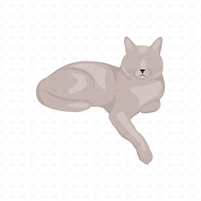 png vector cat