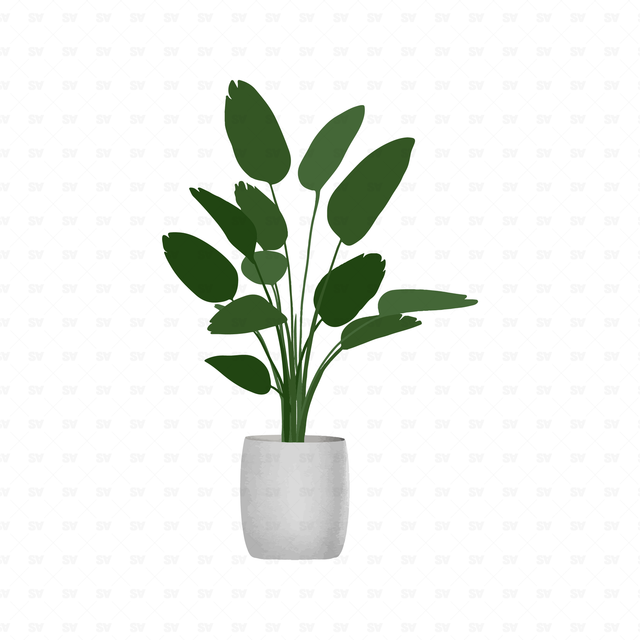 flat vector plants