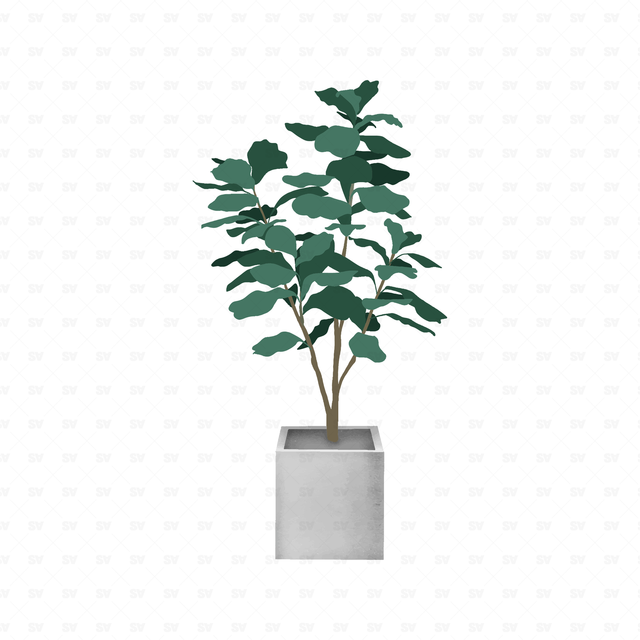 flat vector plants