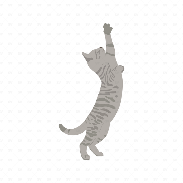 png vector climbing cat