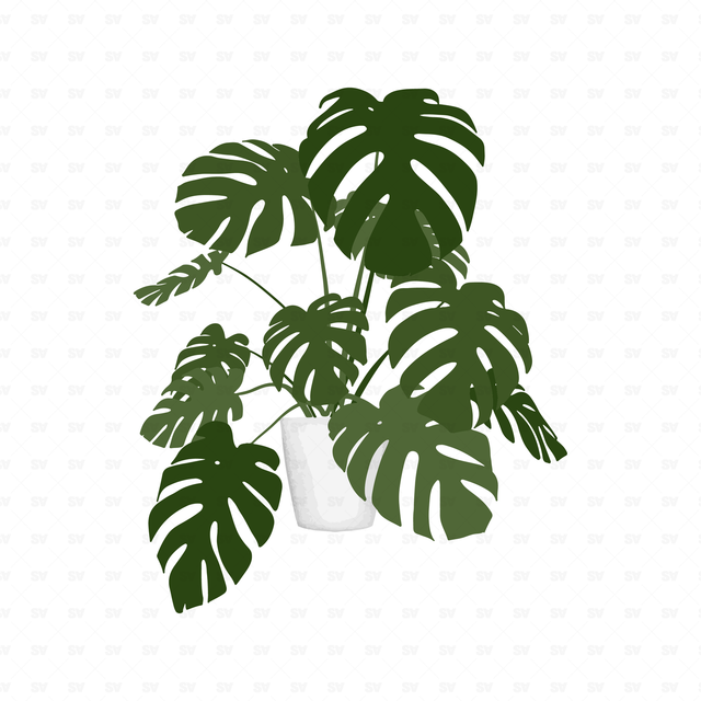 flat vector plants