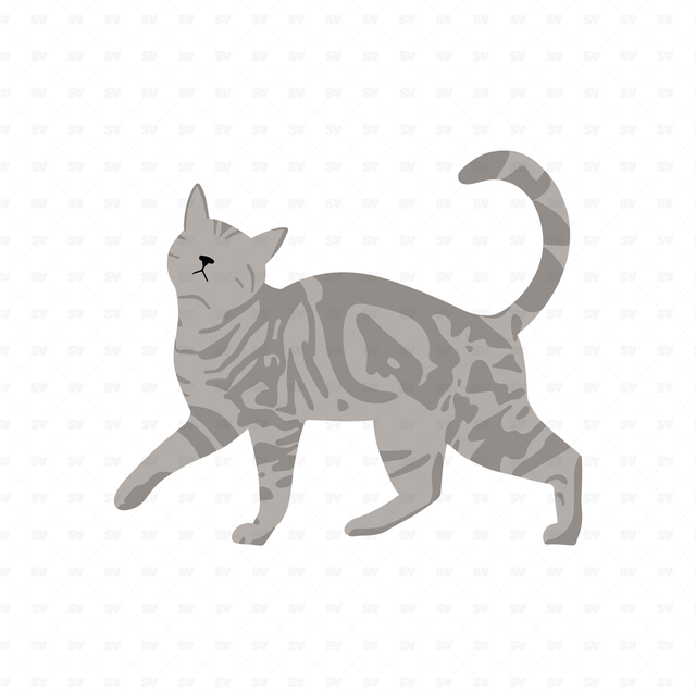 png vector cat