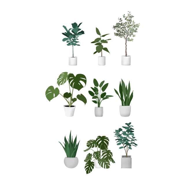 flat vector plants