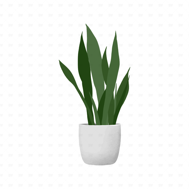 flat vector plants