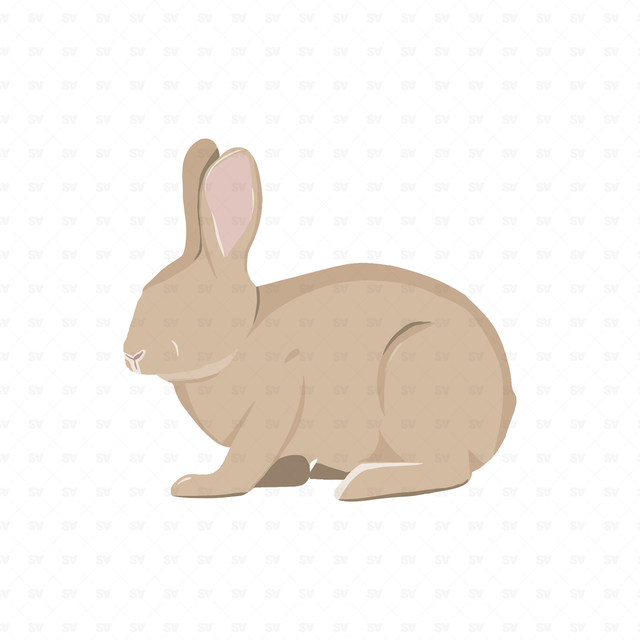 png vector rabbit