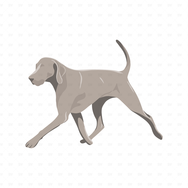 flat vector dog