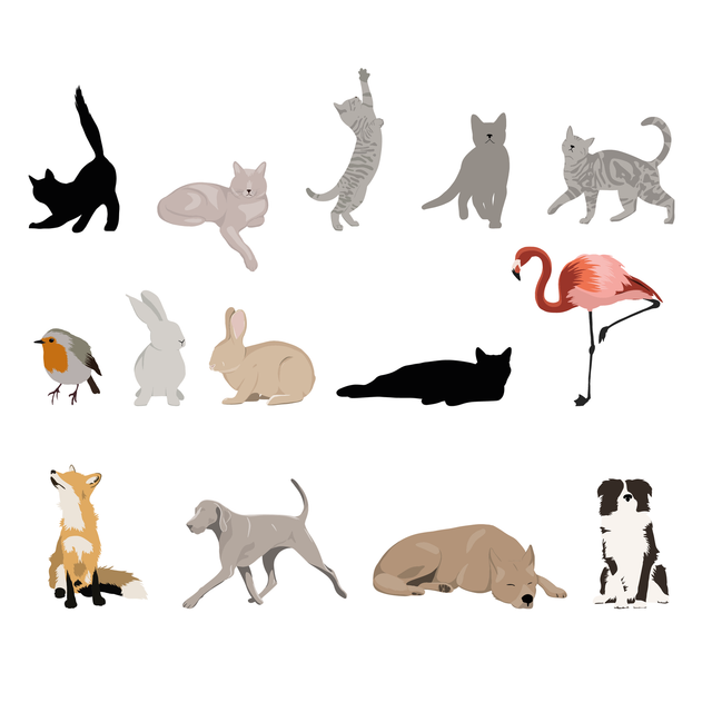 flat vector animals pack