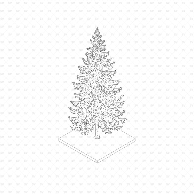 Norway spruce (Picea abies), European Trees ArchiCAD, Illustrator and PNG set