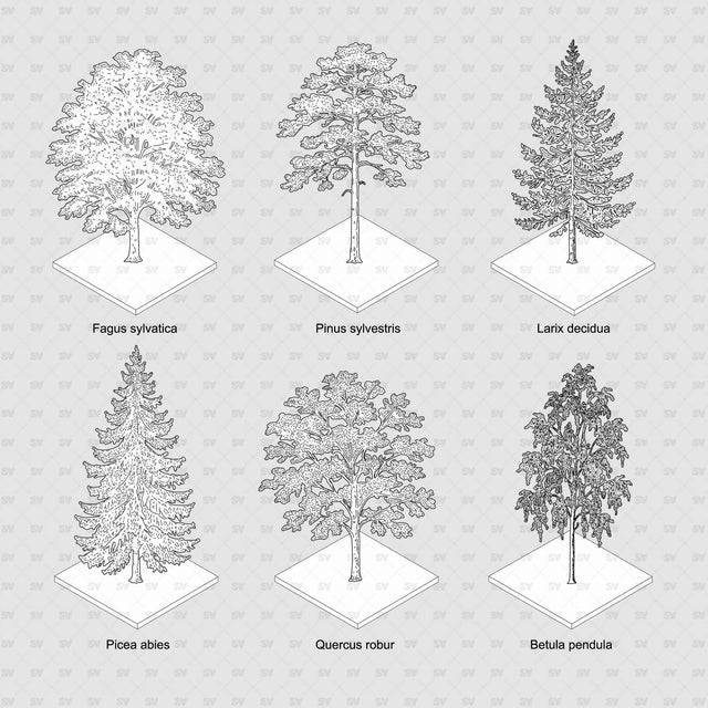 Full set of European trees on a grey background