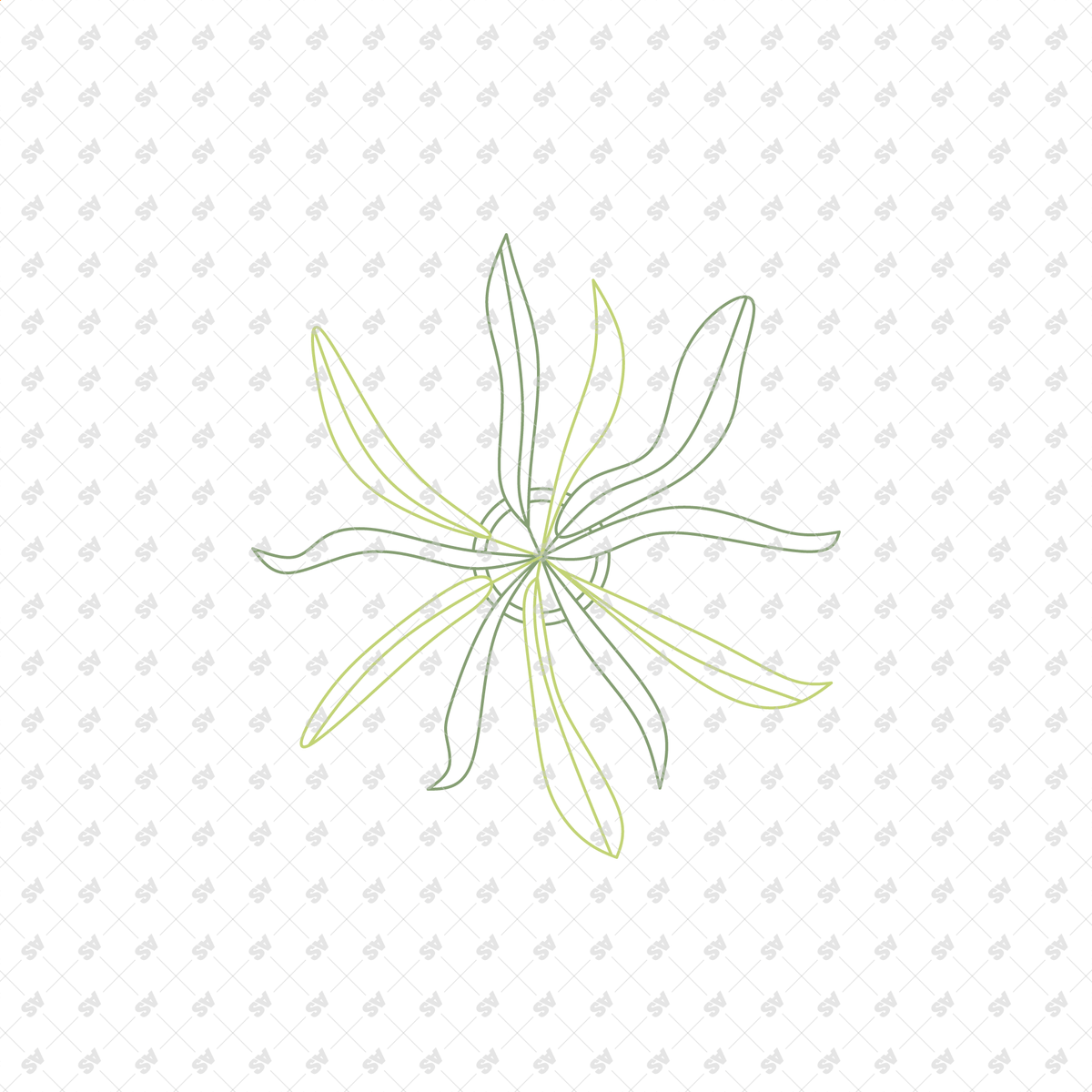 CAD Vector Line-Art Plants, Trees in Planters (Top View) – Studio ...