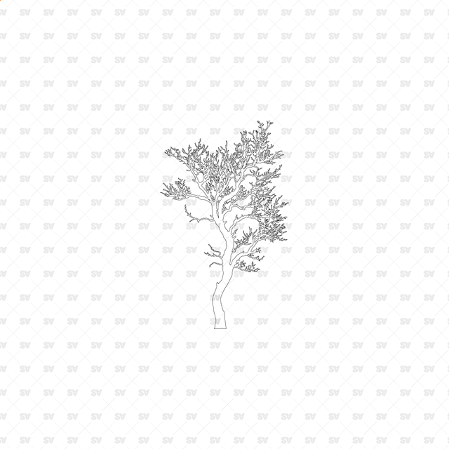 CAD, Vector, PNG Trees