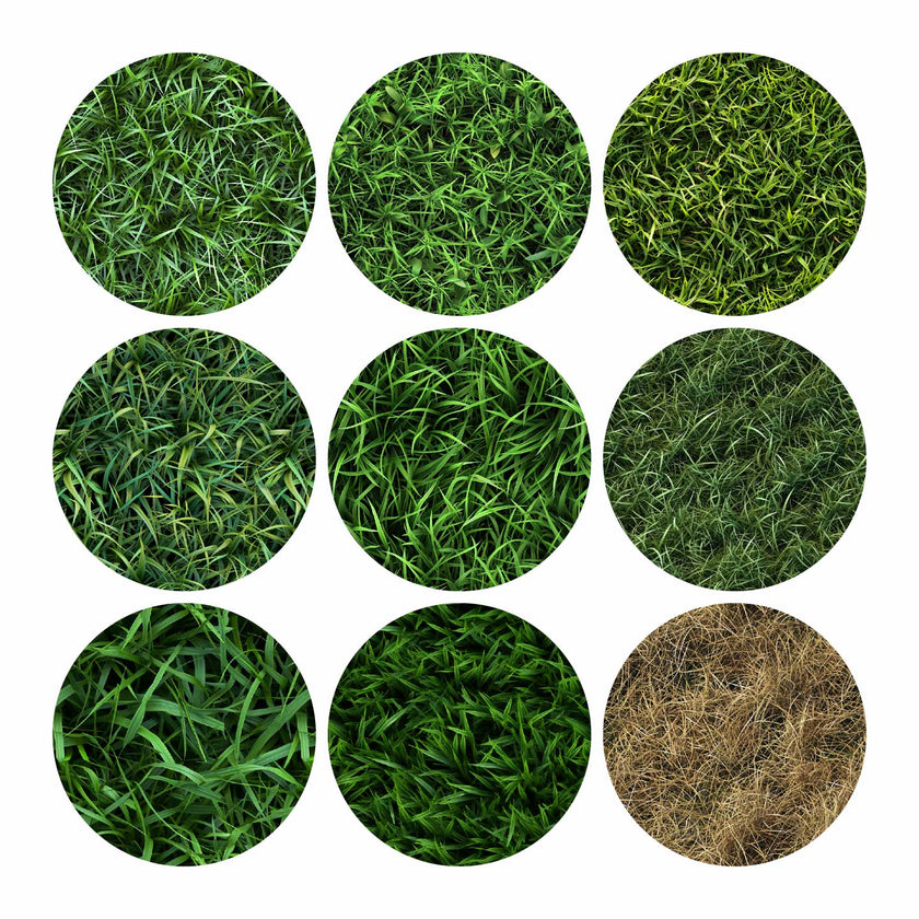 Architectural Materials | Patterns | Seamless Grass Textures – Studio ...