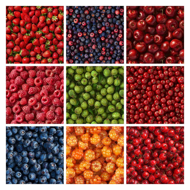 Pattern Library - Berries Textures (In top view)