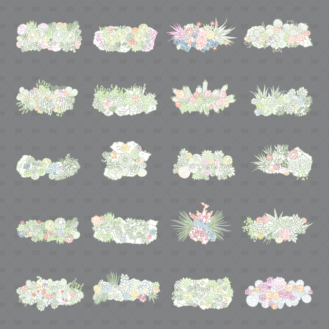 CAD, Vector, PNG Succulent and Cactus Landscapes in Top View in Color and B/W