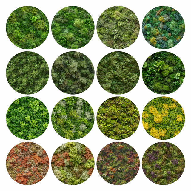 Pattern Library - Seamless Moss Textures