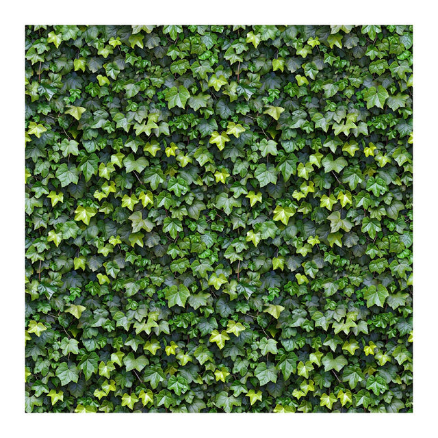 Pattern Library - Seamless Green Plant Wall Textures