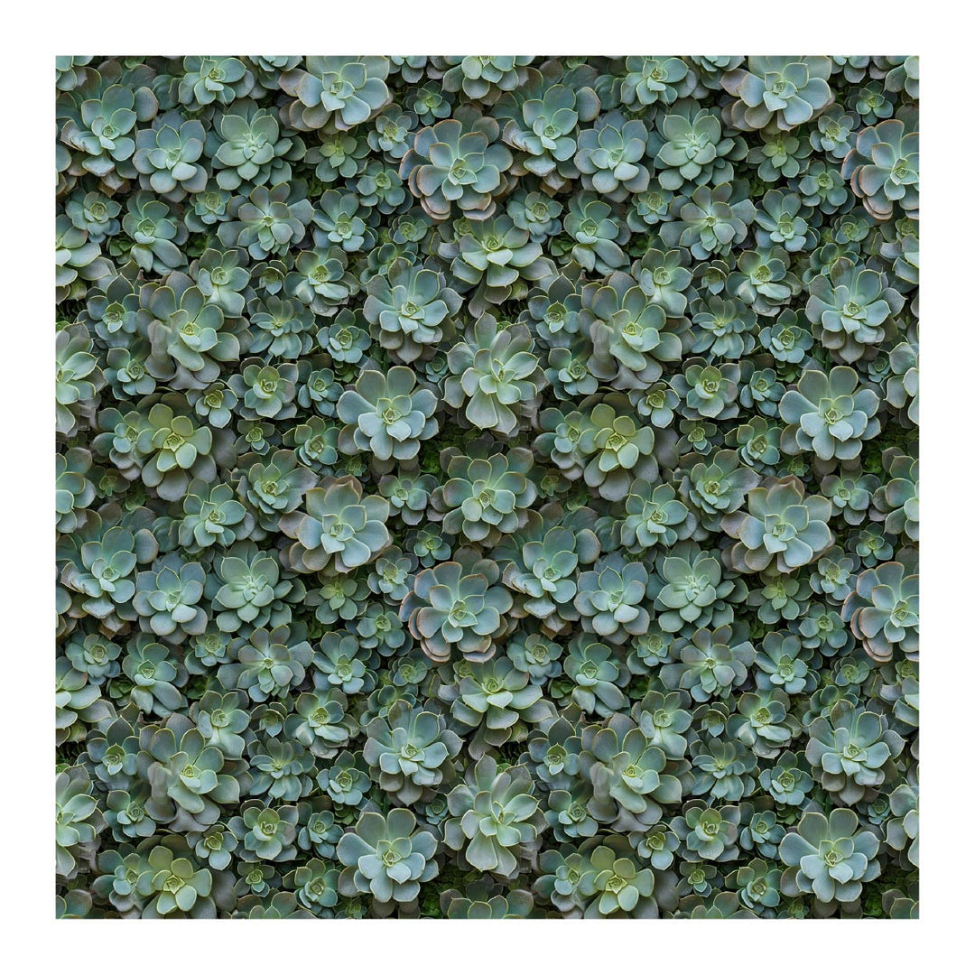 Image showcasing Architectural Materials | Patterns | Wall Textures – Studio Alternativi