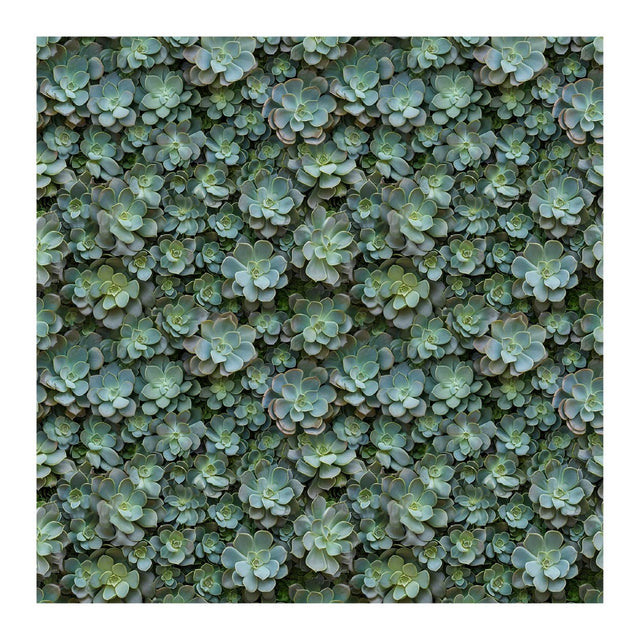 Pattern Library - Seamless Green Plant Wall Textures