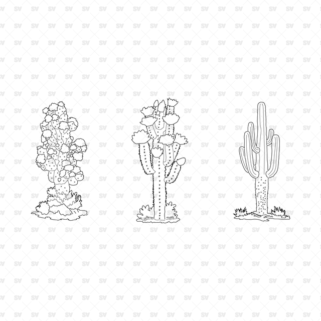 CAD, Vector, PNG Plants in Color and B/W