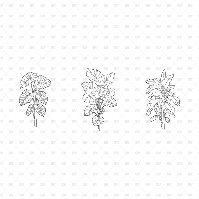 CAD, Vector, PNG Plants in Color and B/W