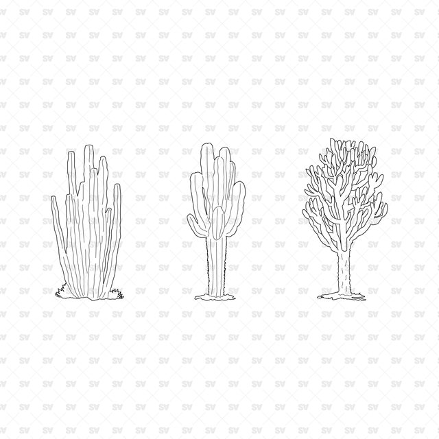 CAD, Vector, PNG Plants in Color and B/W