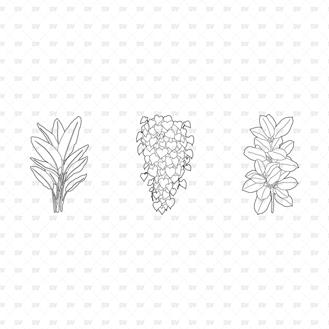 CAD, Vector, PNG Plants in Color and B/W