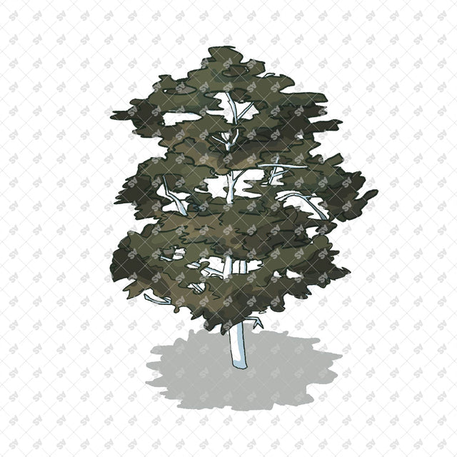 Isometric Hand Drawn Trees