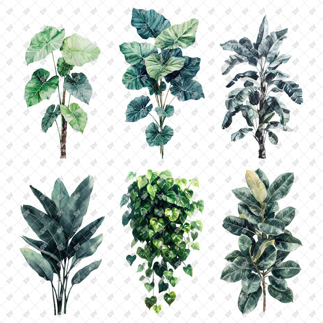 PNG Watercolor Plants